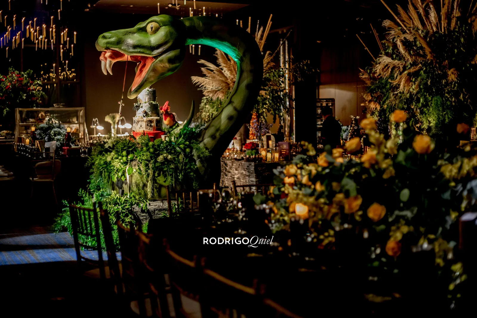 Quinceaños Harry Potter — Winsleth Gabrielle - Imagen 4